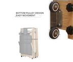 Foldable Reformer with Iron Leg